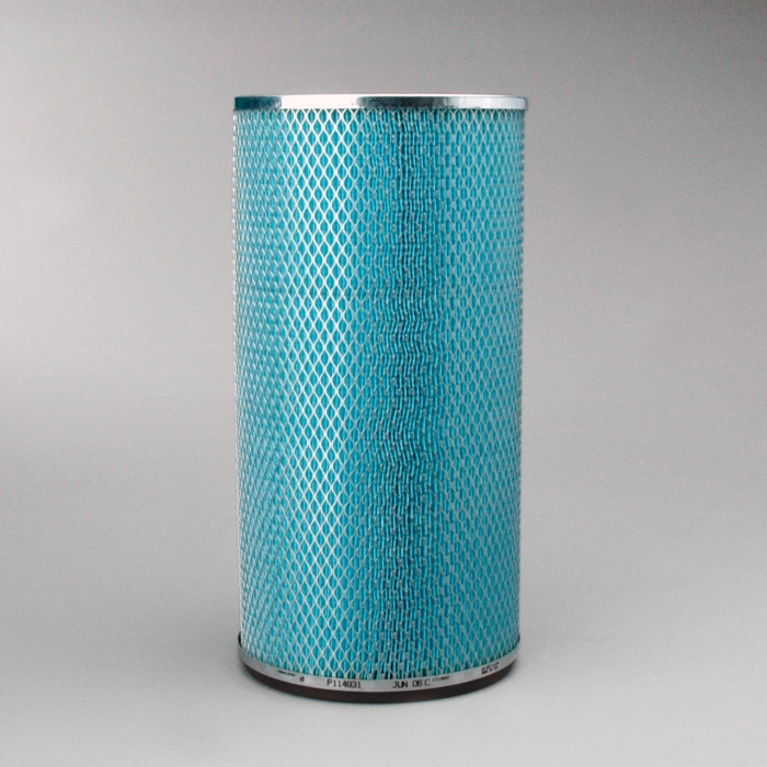 FILTRO AIRE INTERNO P114931