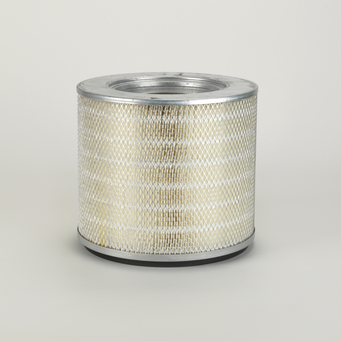 FILTRO AIRE INTERNO P119417
