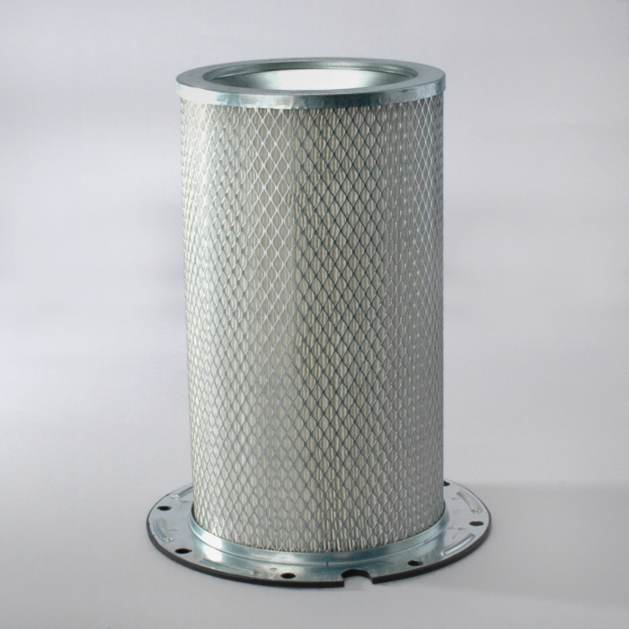 FILTRO AIRE INTERNO P158670