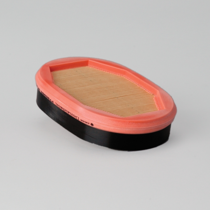 FILTRO AIRE INTERNO P785965