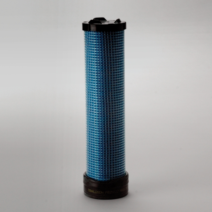FILTRO AIRE INTERNO P829332
