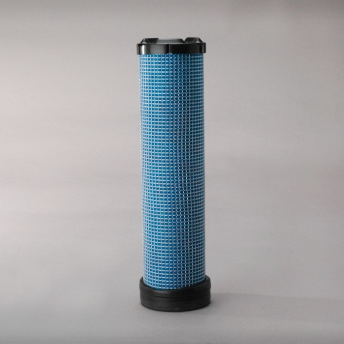 FILTRO AIRE INTERNO P829333